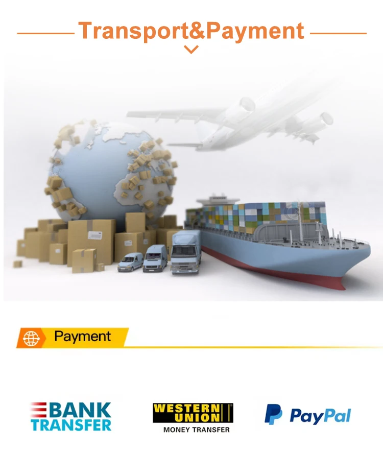 Coolmay Flapship model EX3G-8050H-24MR-2AD-V 12Relay output factory direct sales