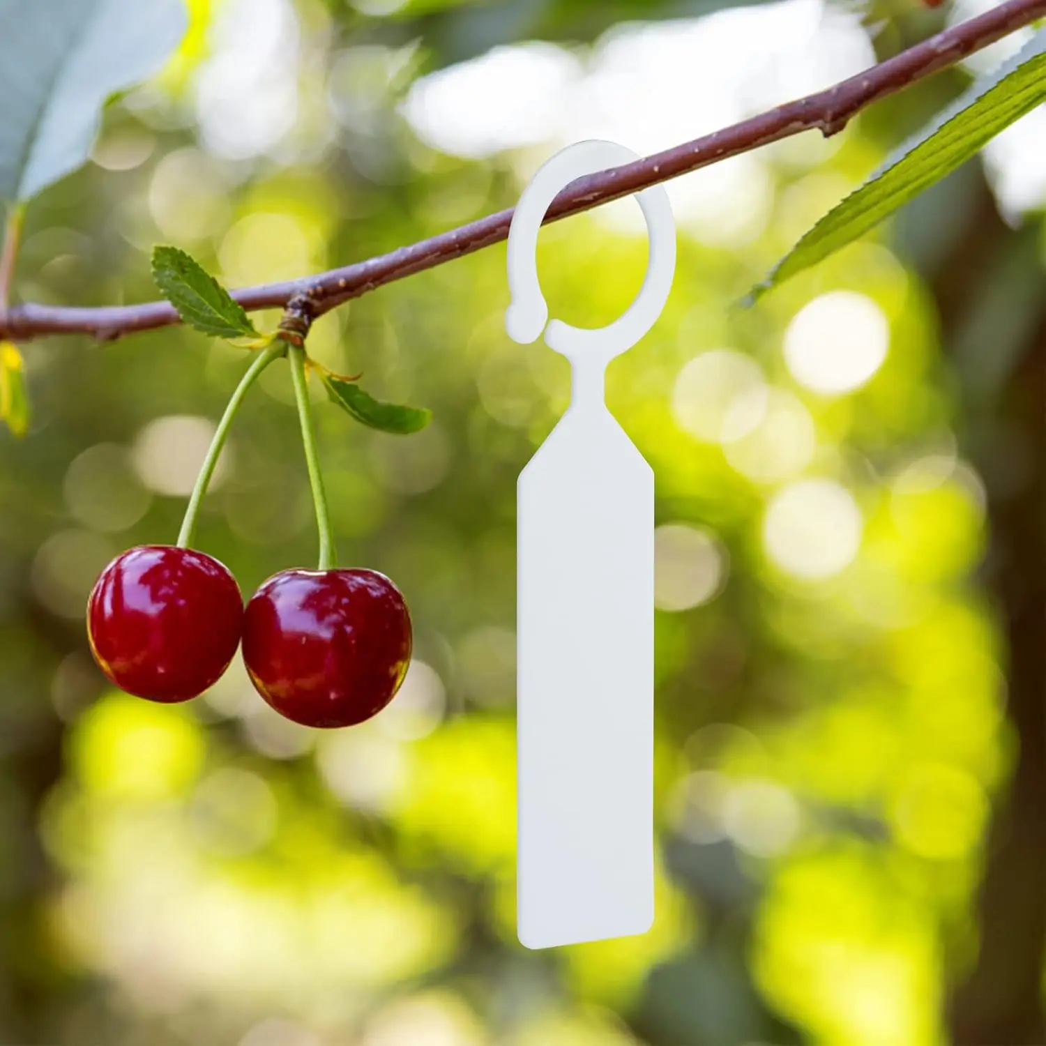 100 Pcs PVC Garden Hanging Plant Tree Tags Ring Tag Hanging Plant Labels,Plant Tags Garden Labels Sturdy Nursery Garden Markers