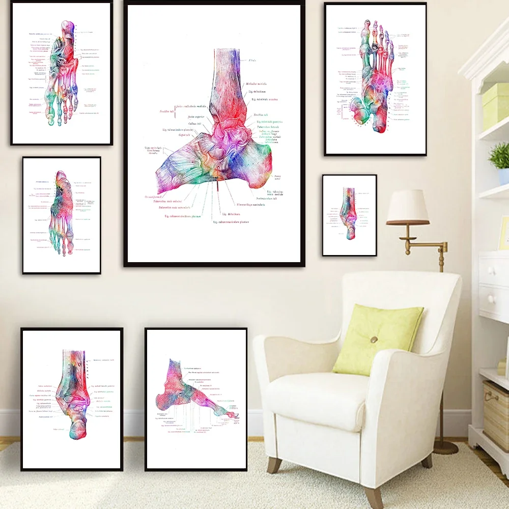 Foot Bones Anatomy Poster Podiatry Art Medical Print Canvas Painting Posters And Prints Wall Pictures For Gift Doctor Office Dec