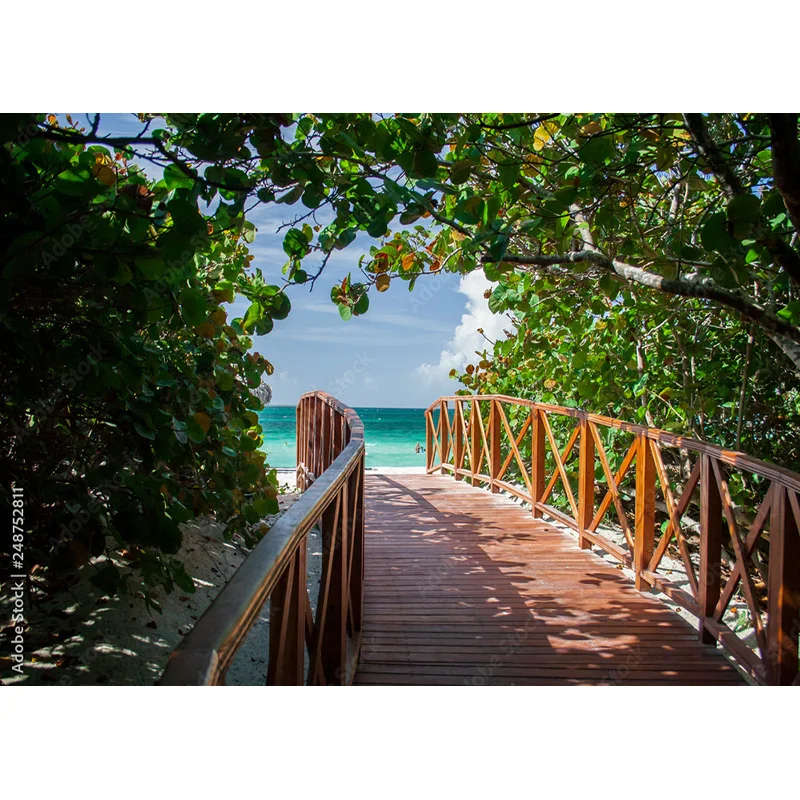 ZHISUXI Tropical Sea Beach Palms Tree Photography Background Natural Scenic Photo fondali Photocall Photo Studio muslim12