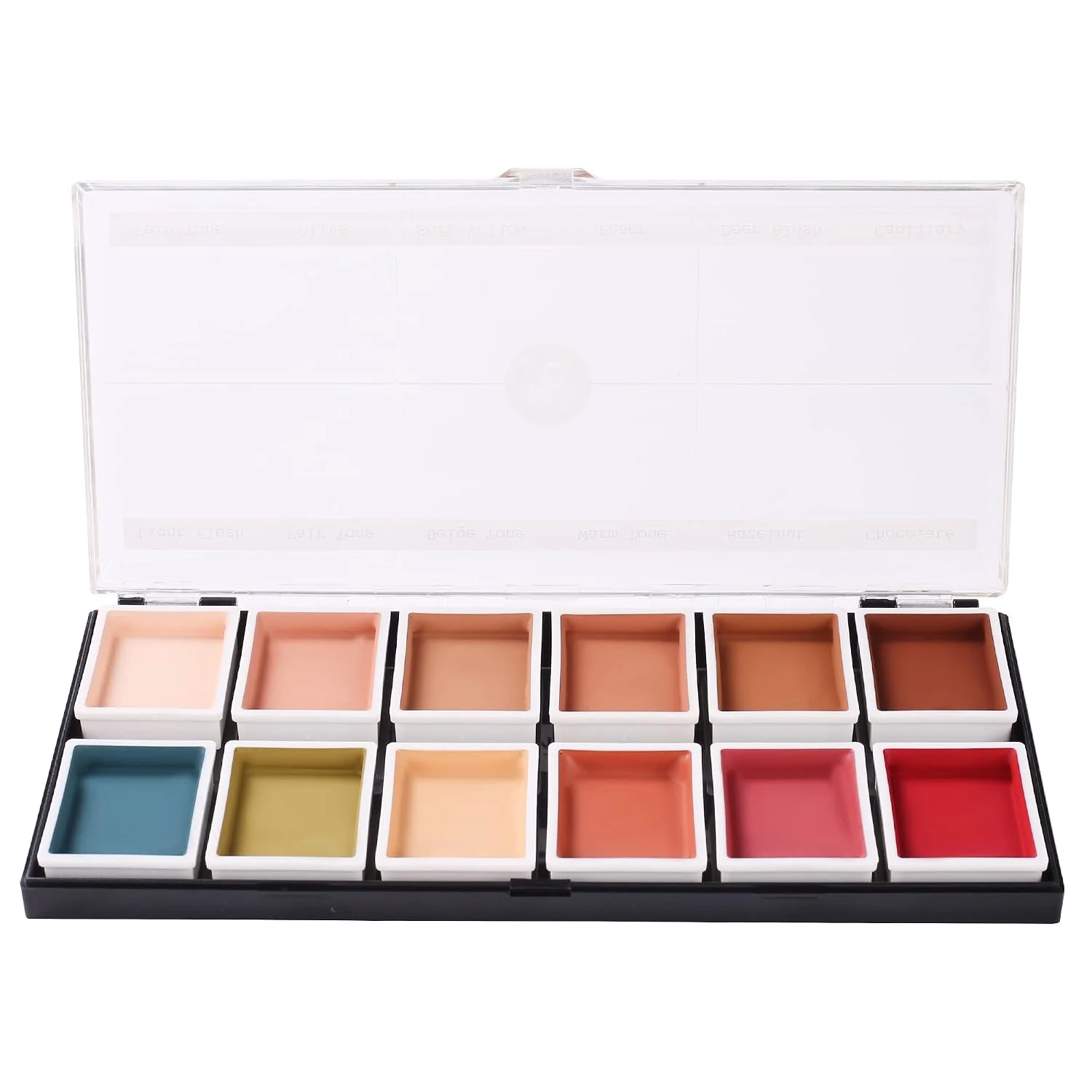 12-Color Flesh Tone Alcohol-Activated Palette, Waterproof Tattoo Cover Up Makeup for Tattoos Scars & Blemishes, SFX Makeup