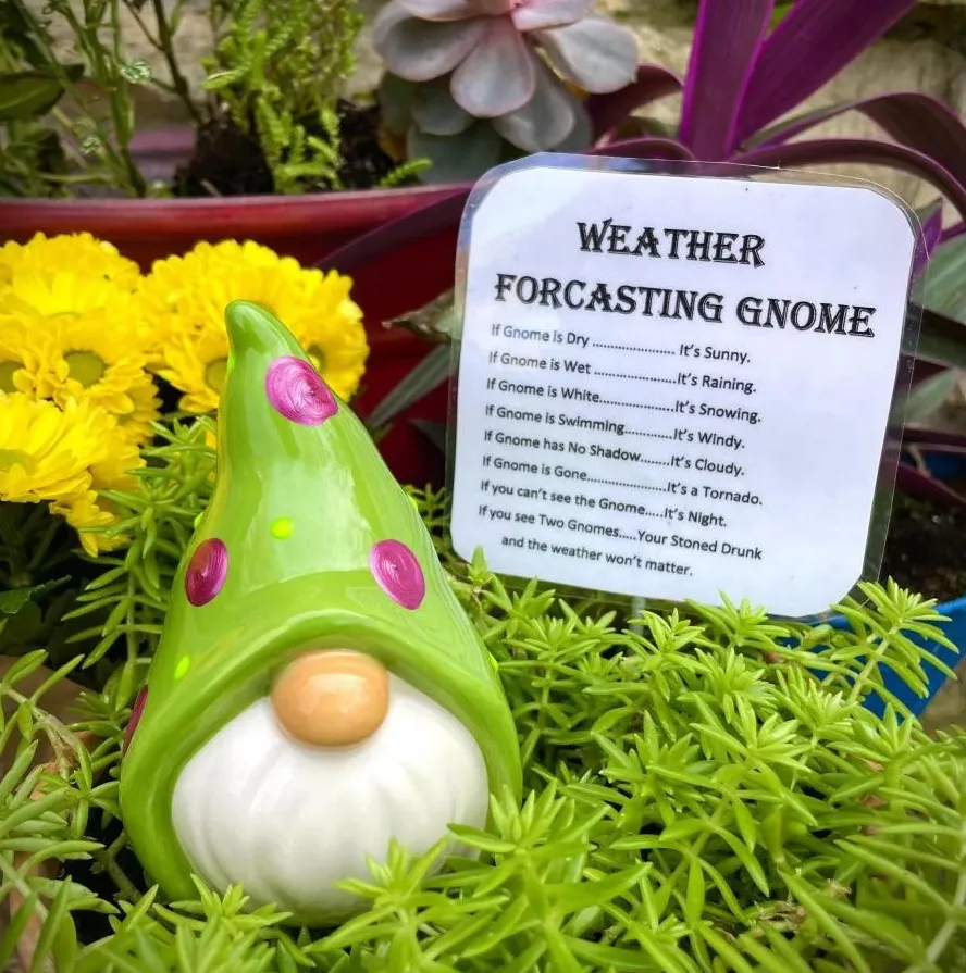 

Funny Weather Gnome‌ - Hand-Painted Garden Decor with Realistic Forecast