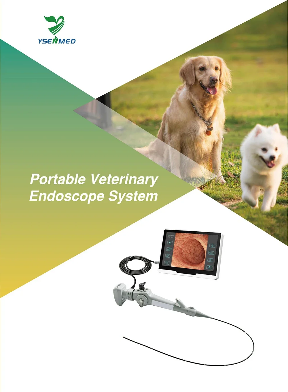 YSVET-EC130 1000mm With 10.1 Inch Touch Screen Portable Animal Video Endoscope