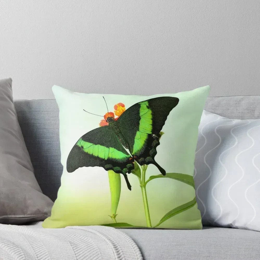 

Swallow Tail Throw Pillow Sofa Pillow Cover christmas supplies Pillows Aesthetic pillow