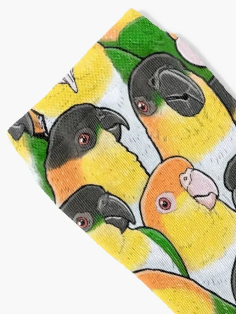 Caique Parrots Socks floor hockey Climbing Men Socks Luxury Brand Women's