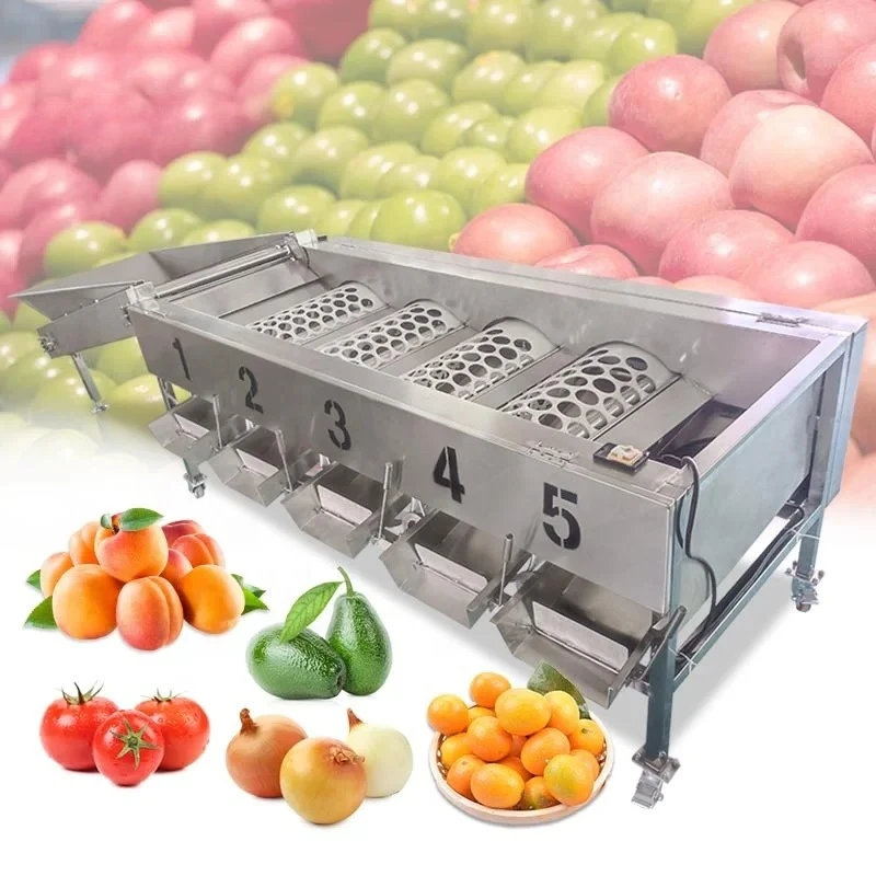 Mango Date Cherry Vegetable Fruit Olive Garlic Size Grading Sorting Machine for Fruit and Table
