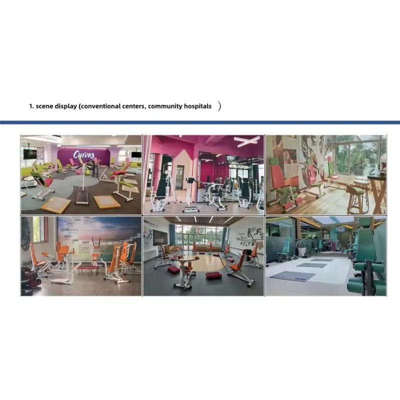 جهاز تدريب عضلات الظهر متعدد الوظائف معدات إعادة التأهيل الداخلي لمنتصف العمر وكبار السن 2025 #4