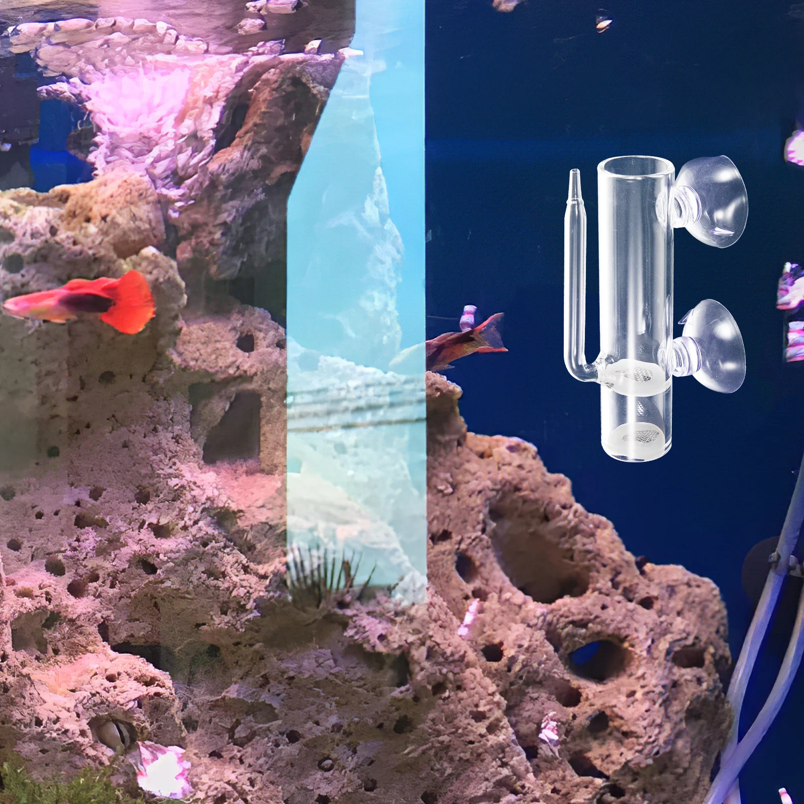 

Harvest Shrimp Incubator Manual Egg Apparatus Isolation Glass Fish Feeder Aquarium