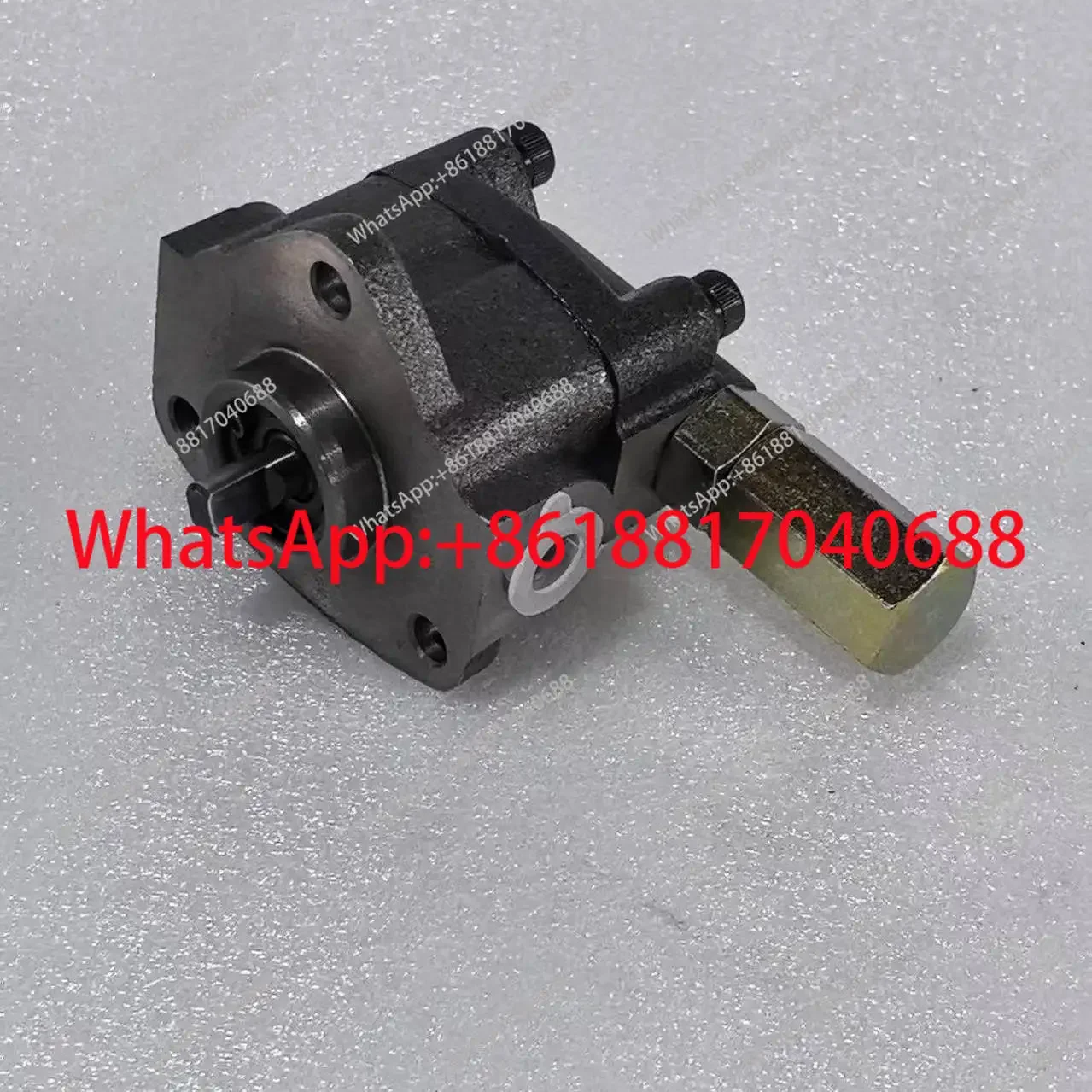 Cycloidal gear pump/adjustable pressure triangular pump head 13A-VB