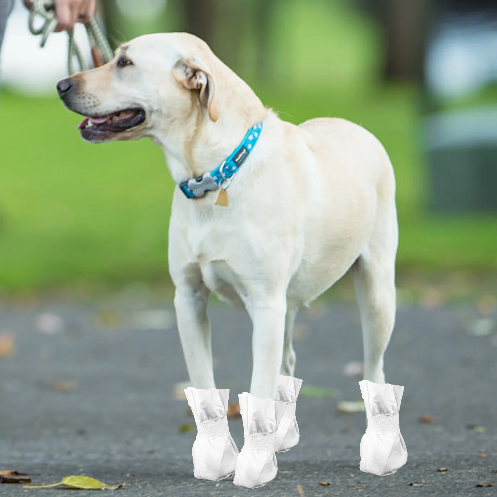 

4pcs Dog Disposable Boots Pet Shoes Snow Booties Outdoor Socks Puppy Cat Medium Size Cloth Material No Wash Needed Hot Summer