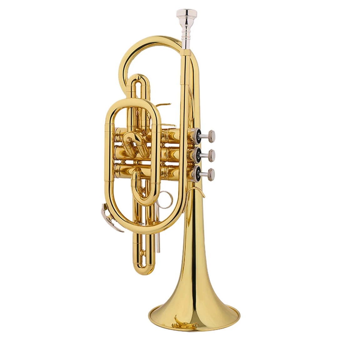 Bb Cornet Trumpet Brass Musical Instruments with Hard Case and Mouthpiece Lacquer Trompeta