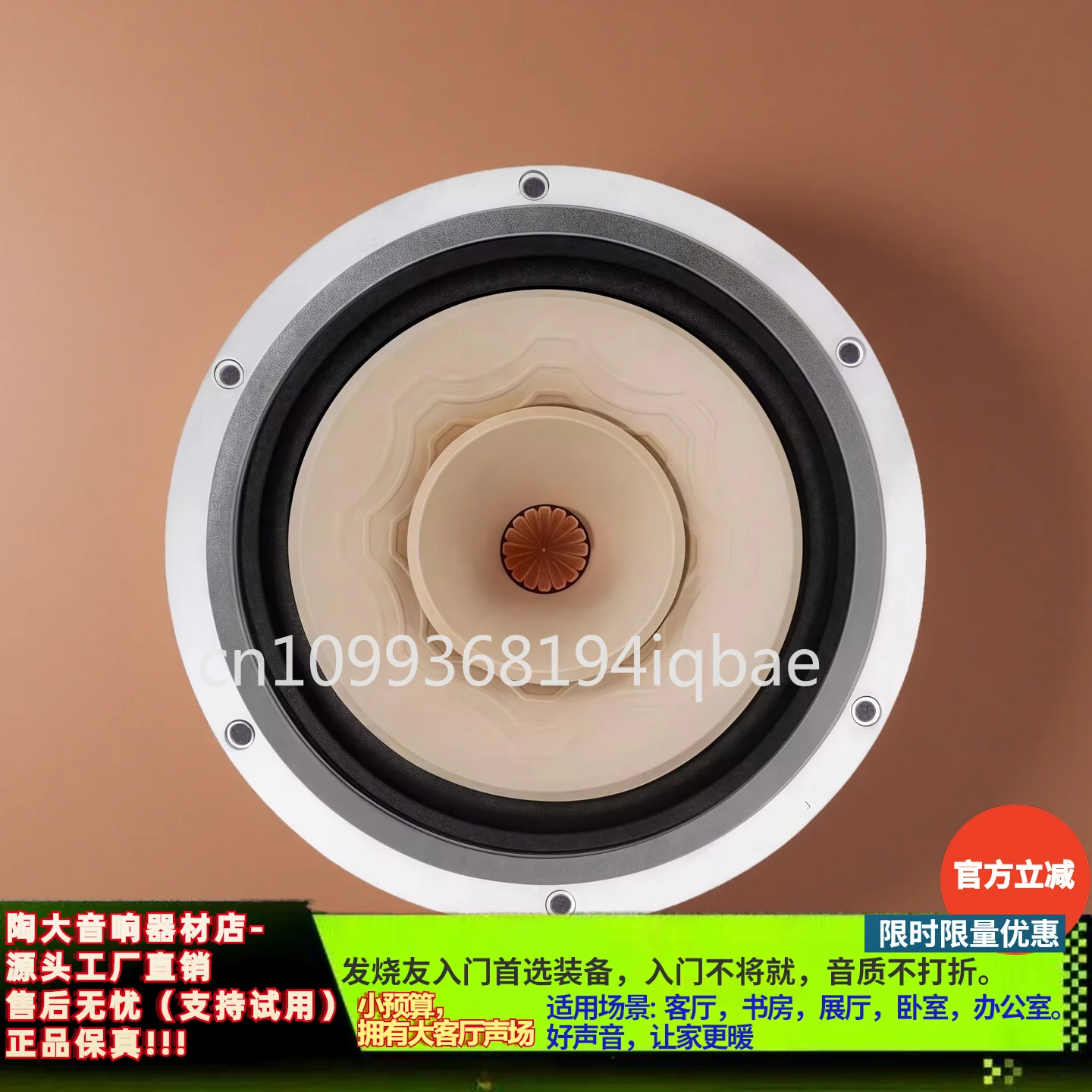 High-Quality Silver 8-Inch Full-Range HiFi Speaker Genuine Audio Speaker