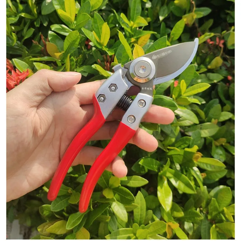 SK5 Steel Fruit Tree Pruning Shears Teflon Rustproof Branch Scissors Flower Shears Potted Plant Gardening Tools