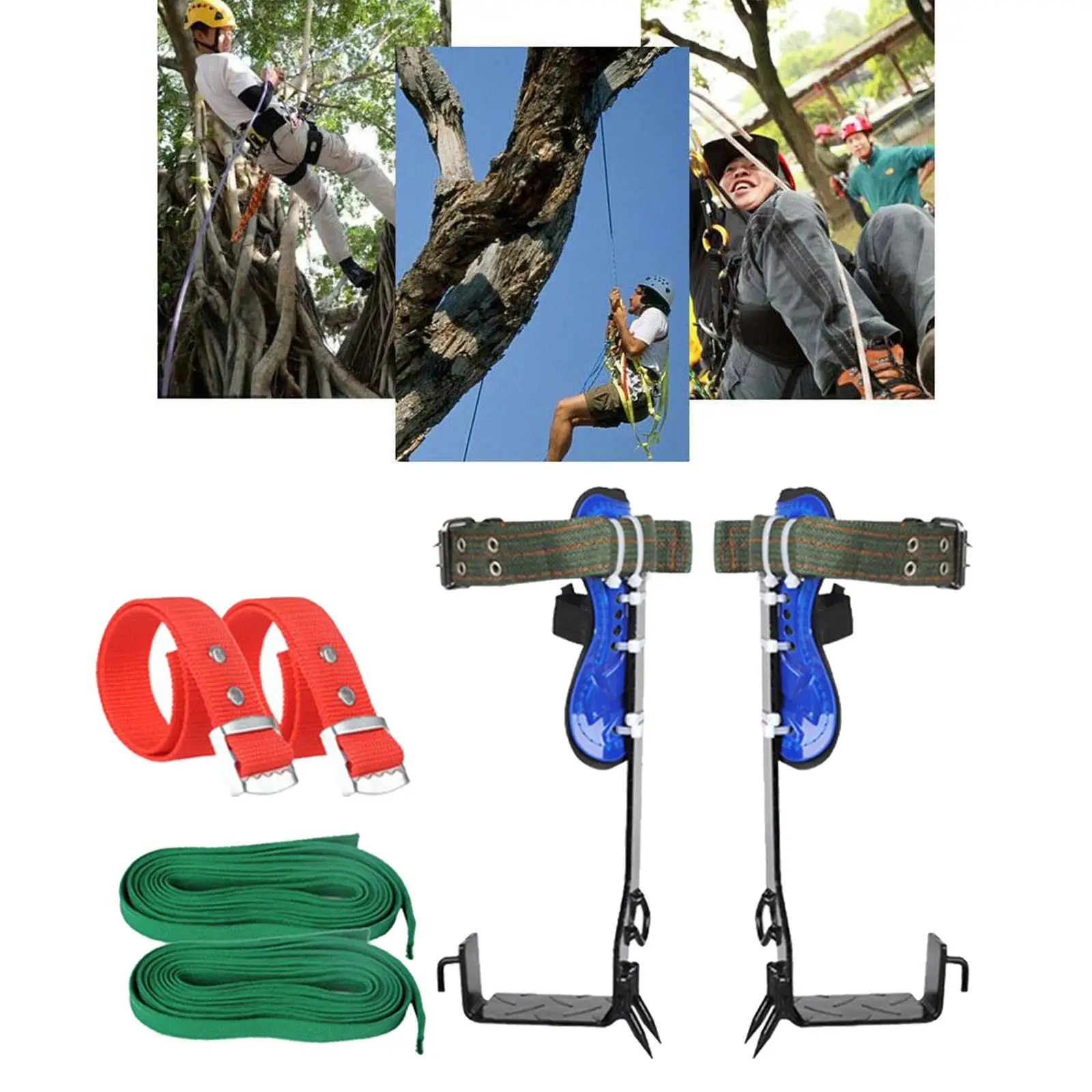 Imagem -03 - Tree Climbing Spike Conjunto para Escalada Hard Belt Climb Tools Camping Acessório