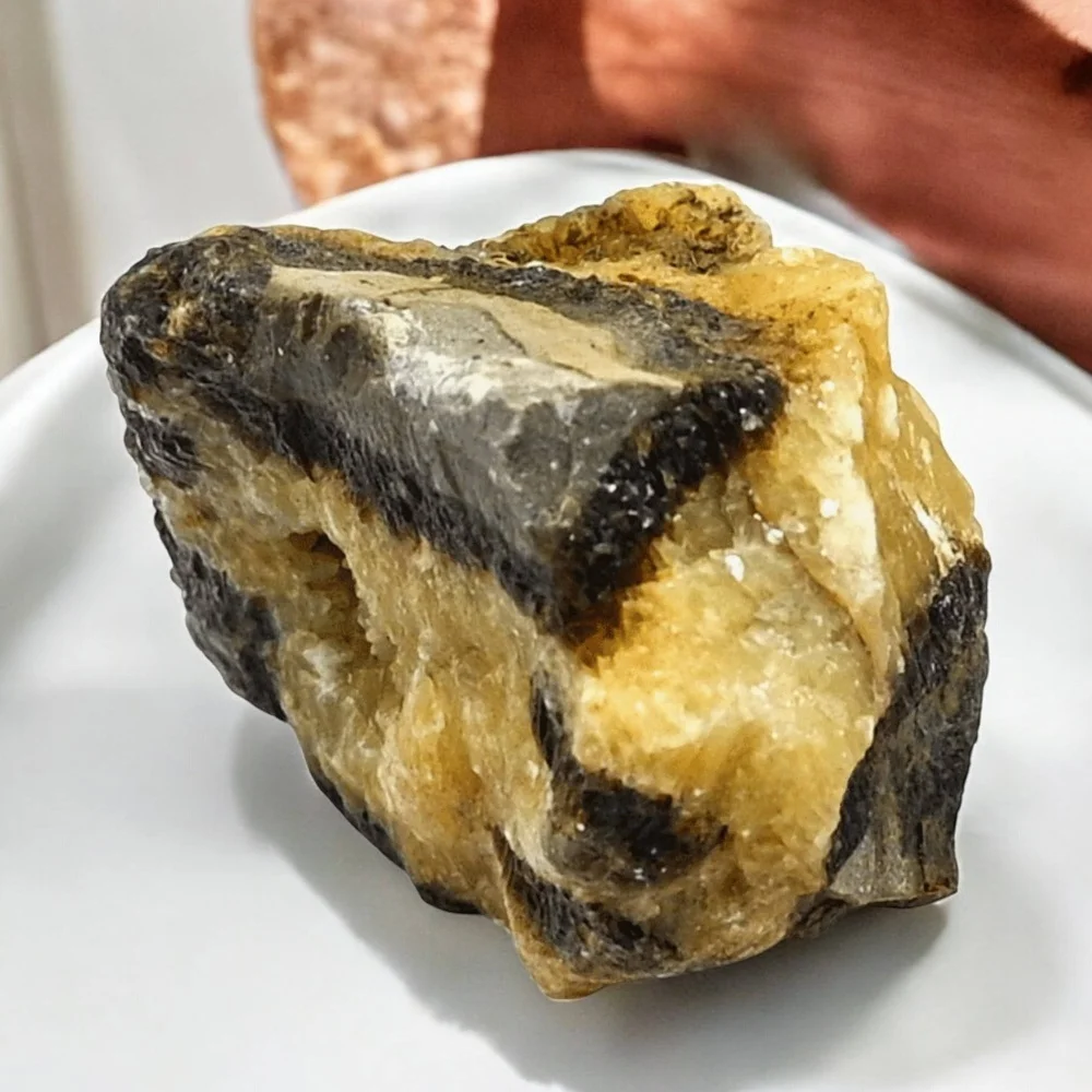 Natural Septarian Rough Stone Unpolished Raw Mineral Specimen Reiki Chakra Healing Energy Balancing for Decor & Collections