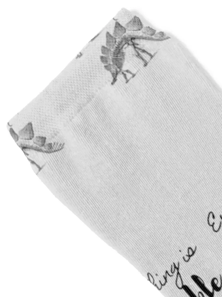 Fossils pun, funny paleontologist Socks christmass gift sheer funny sock Socks Women Men's