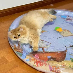 Water Sensory Play Mat Thickened Inflatable Water Mat For Cat And Dog Pet Playmat With Fish Sea Ocean Theme Sensory Toy Water