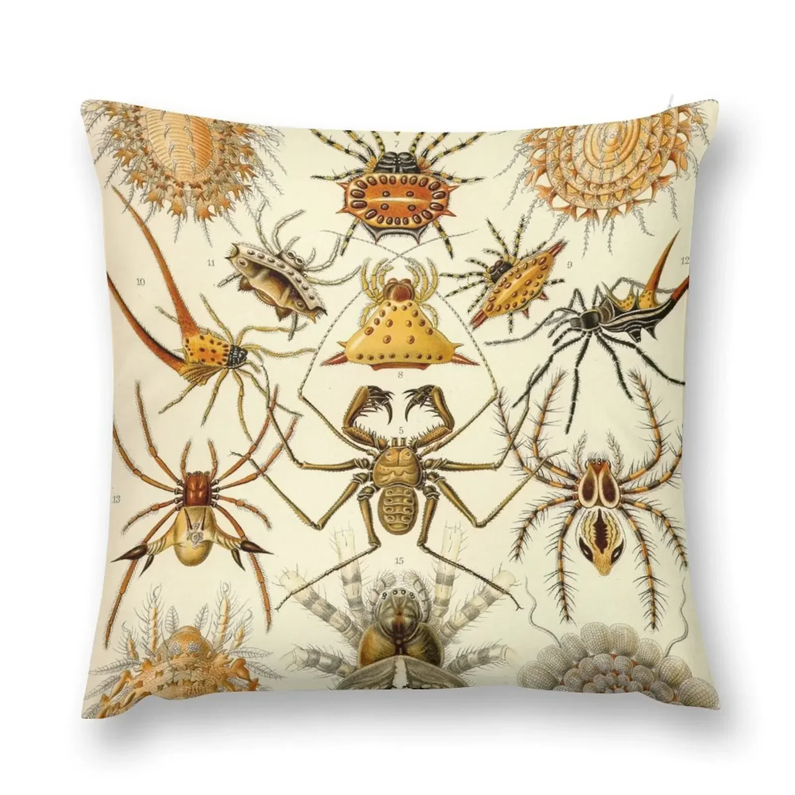 Arachnids - Ernst Haeckel Throw Pillow luxury throw pillow covers autumn pillowcase Sofa Cover Luxury Sofa Cushions pillow