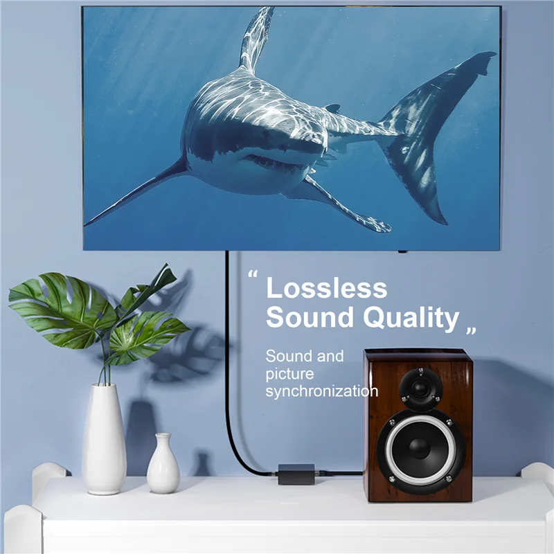 Hot-Digital Audio C… - image