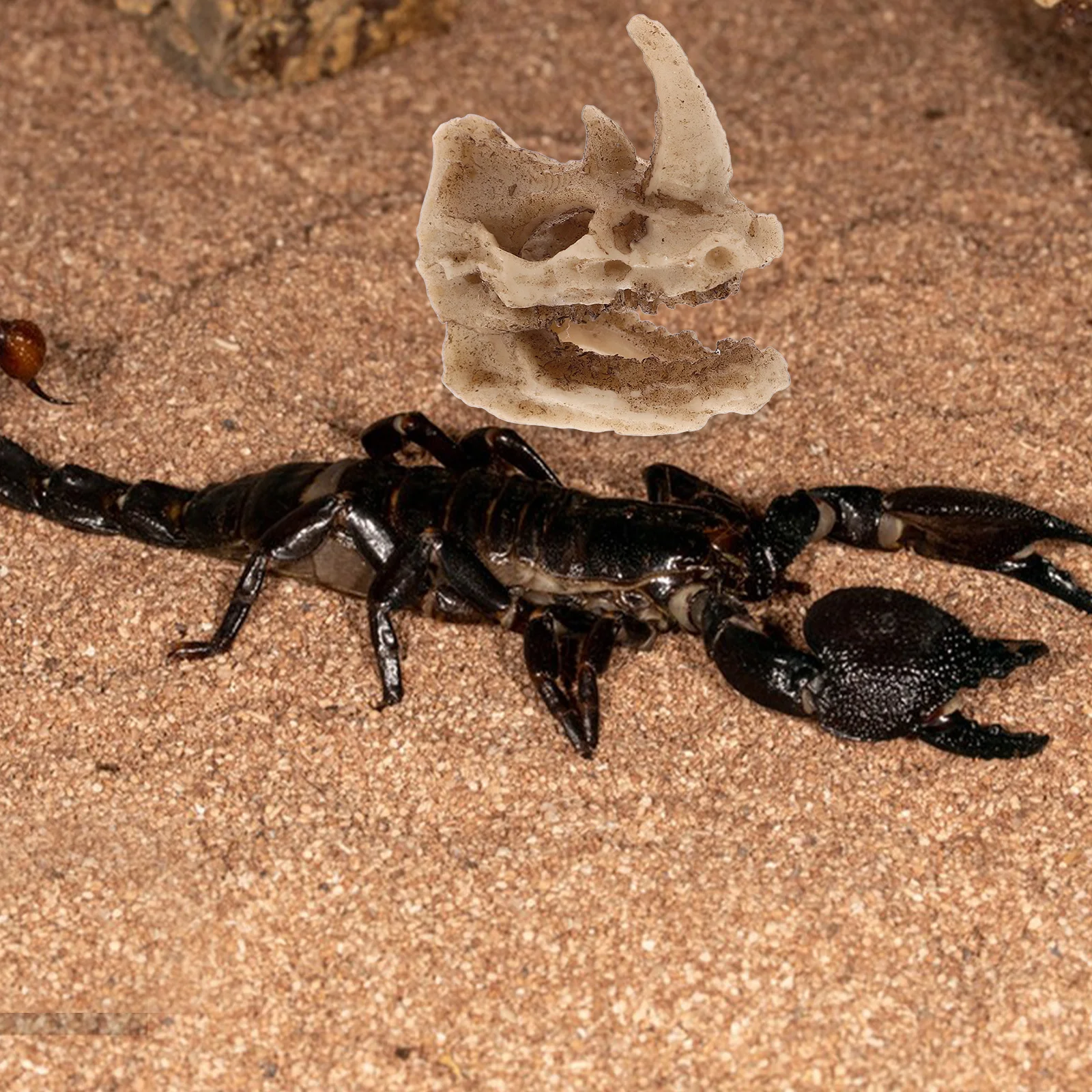 

Rhino Skull Resin Reptile Shelter Creative Hideout for Lizards Snakes Turtle Terrarium Frog Habitat Decorative Reptile Cave