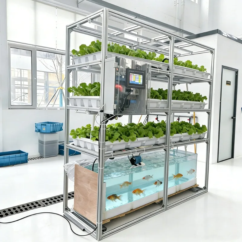 Balcony fish and vegetable symbiosis tidal soilless cultivation equipment vegetable strawberry automatic hydroponics multi-layer