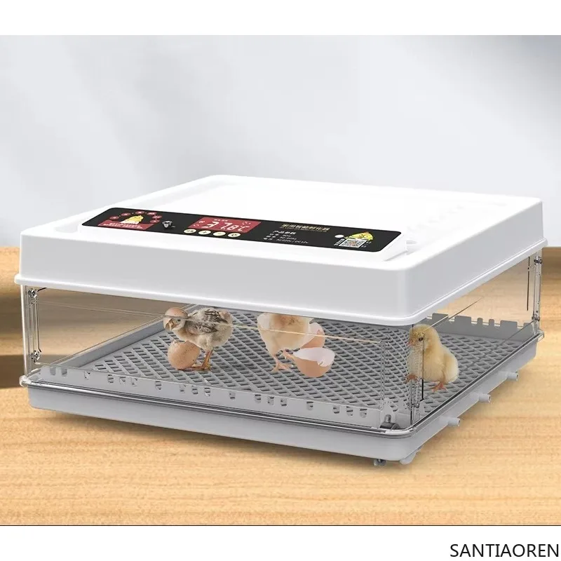 

Factory Direct Sales of 64 Small Automatic Egg Turning Incubator