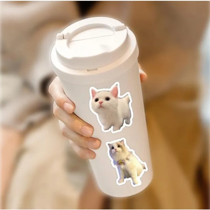 60 zabawnych naklejek, urocze naklejki z kotami, naklejki DIY, do scrapbookingu, na telefon, do bagażu, na deskorolkę, wodoodporne naklejki winylowe