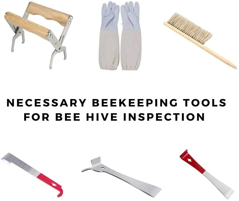 Beekeeping Supplies Bee Smoker Starter Kit, Beekeeping Tools for Beekeepers 14 Pcs Professional Bee Hive Tools