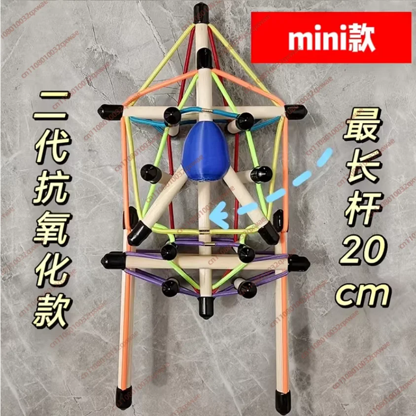 Spine and Pelvis Tensioning Overall Model Structure Fascia Tensioning Body Teaching Aid Demonstration Dynamic Axis Anatomy Train