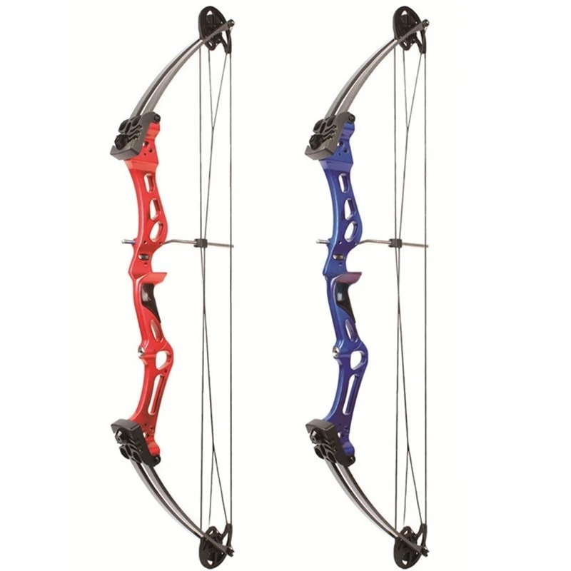 Compound Bow M107 Outdoor Archery Sports Equipment, Adult Competitive Competition Practice Bow and Arrow