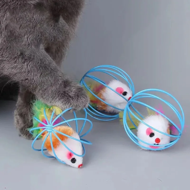 cat toy ball