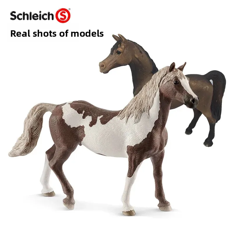 Scheibord: Die ultimative Lösung für Multifunktionswerkzeuge