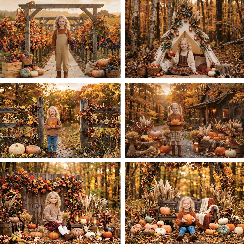 Fall Harvest Backdrop Autumn Scenes Wooden Arch Pumpkins Grass Tent Leaves Lantern Grape Decor Photo Photography Background