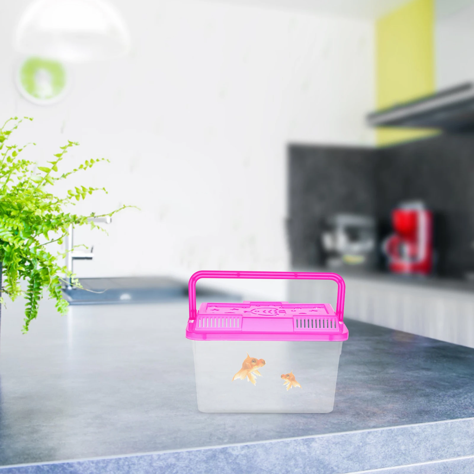 

4pcs Clear Mini Fish Tank Transparent Aquarium Portable Turtle Container Reptile Feeding Box Desktop Pet Breeding Tank Small