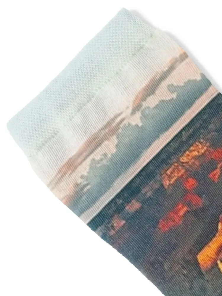 توايلايت في جراند كانيون، أريزونا الولايات المتحدة الأمريكية الجوارب الكثير بارد الرياضة kawaii الجوارب امرأة الرجال #2