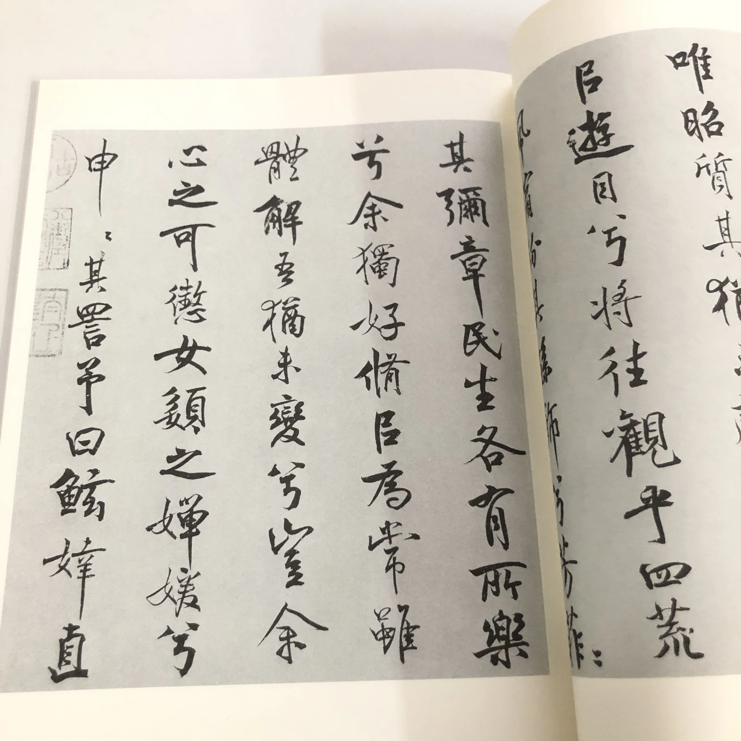 Caderno de caligrafia de Mi Fu: folhas de prática de poesia de colocar Lament