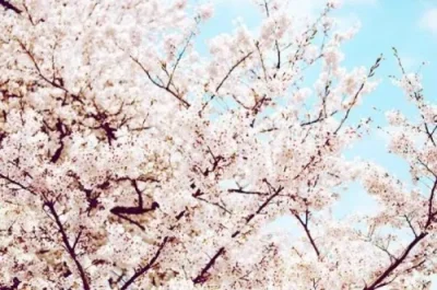 

Комплект алюминиевых задних стабилизаторов для радиоуправляемых багги Tamiya BB01 BBX 1/10, запчасти для тюнинга