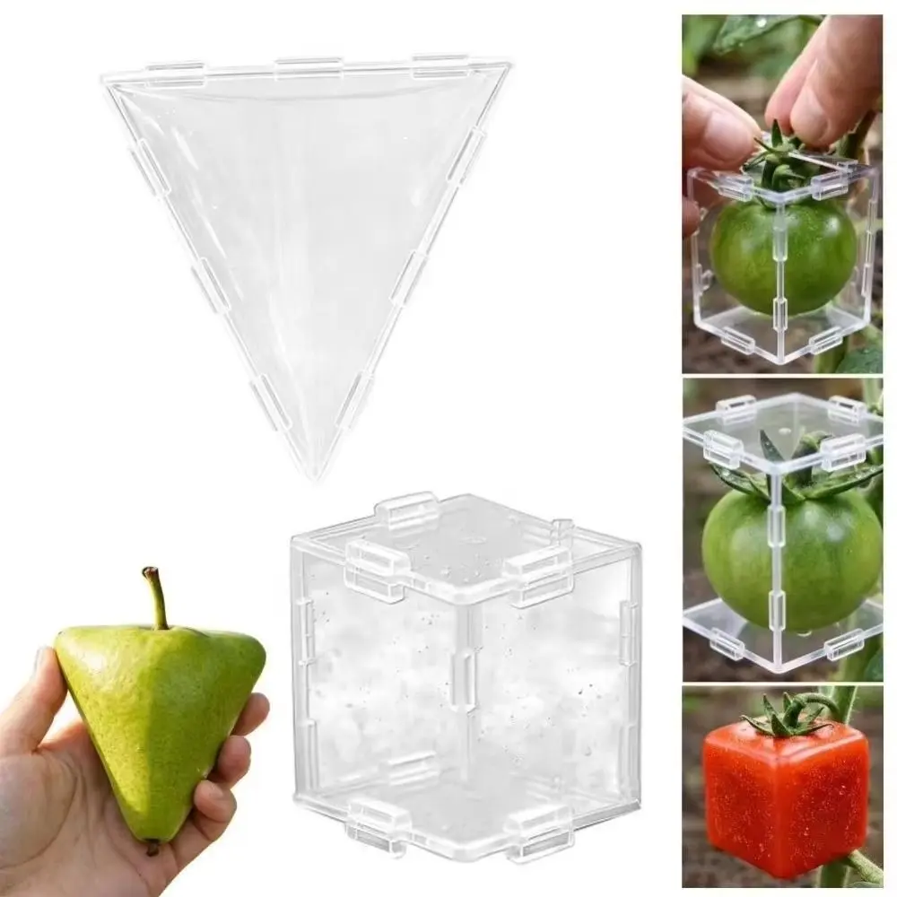 Transparent Fruit Shaping Mold Snap-on Reusable Transparent Plastic Mold Styling Tool Cubic Growth Forming Box Party Gift