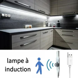 5V USB LED Strip With Hand Sweep/Human Motion Sensor 1M 2M 3M 5M Light Tape Decoration Ribbon for TV Kitchen Room
