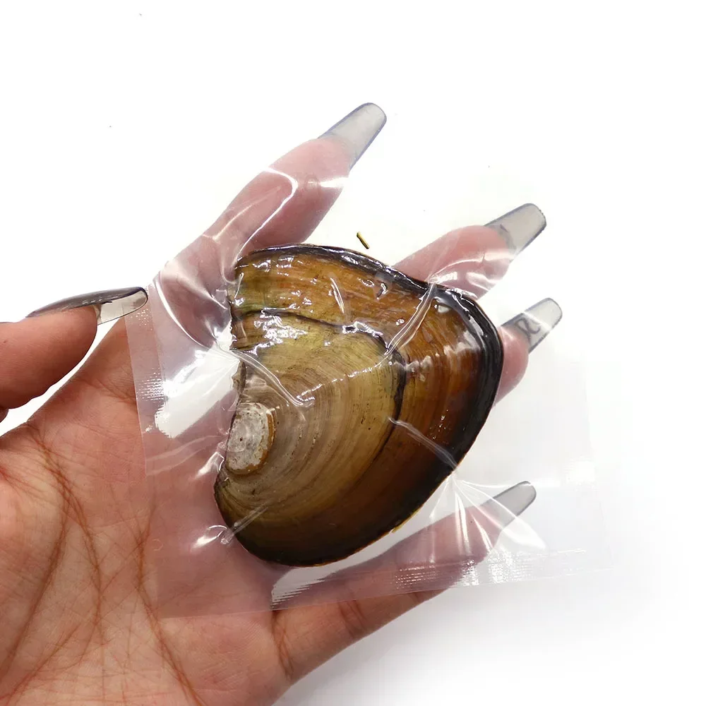 

River Mussels with Rice Pearls One Pearl Per Mussel Random Colors Vacuum-packed Handcrafted Jewelry Making Necklaces Bracelets