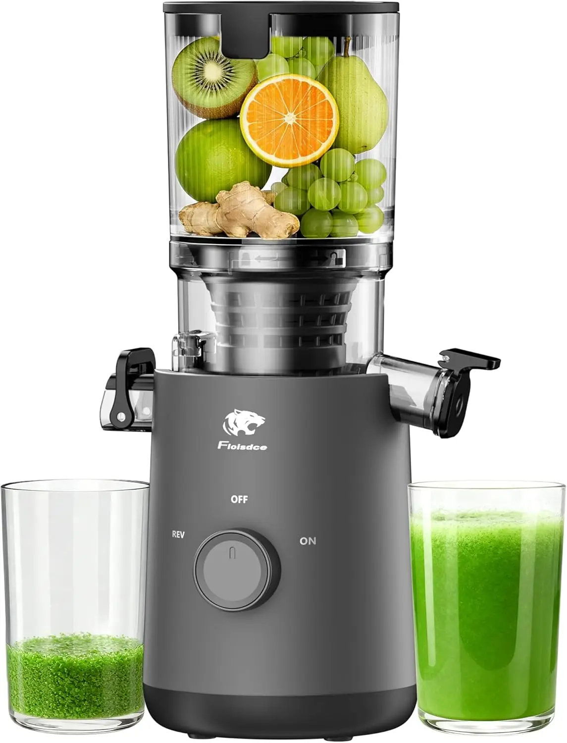 Centrífuga de Suco a Frio com Grande Abertura para Alimentos, Motor Potente para Frutas e Vegetais Inteiros, Alta Produção, Livre de BPA