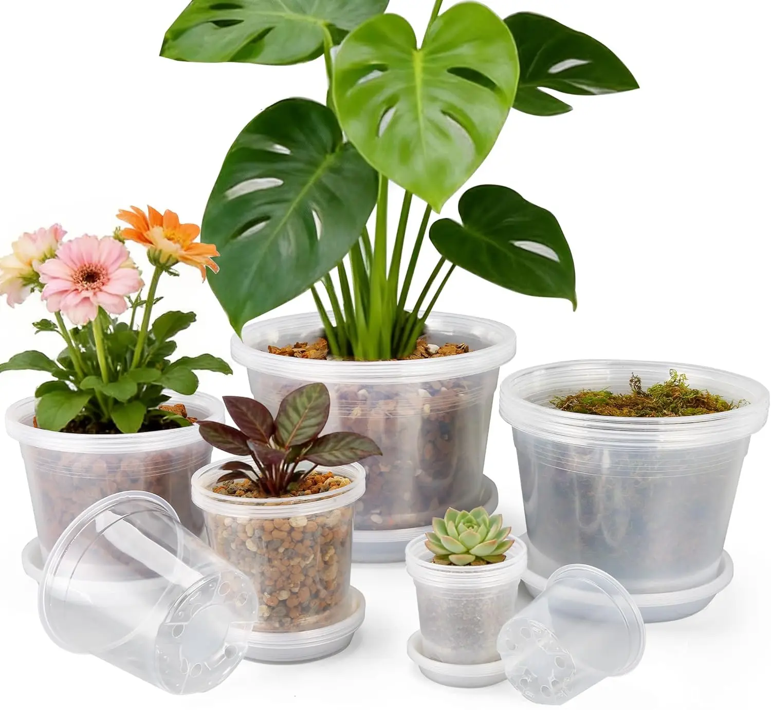 

Прозрачные пластиковые горшки для рассады с дренажными поддонами, 20 штук в упаковке для растений, цветов, овощей, размеры 12/10/8/6/4 дюйма
