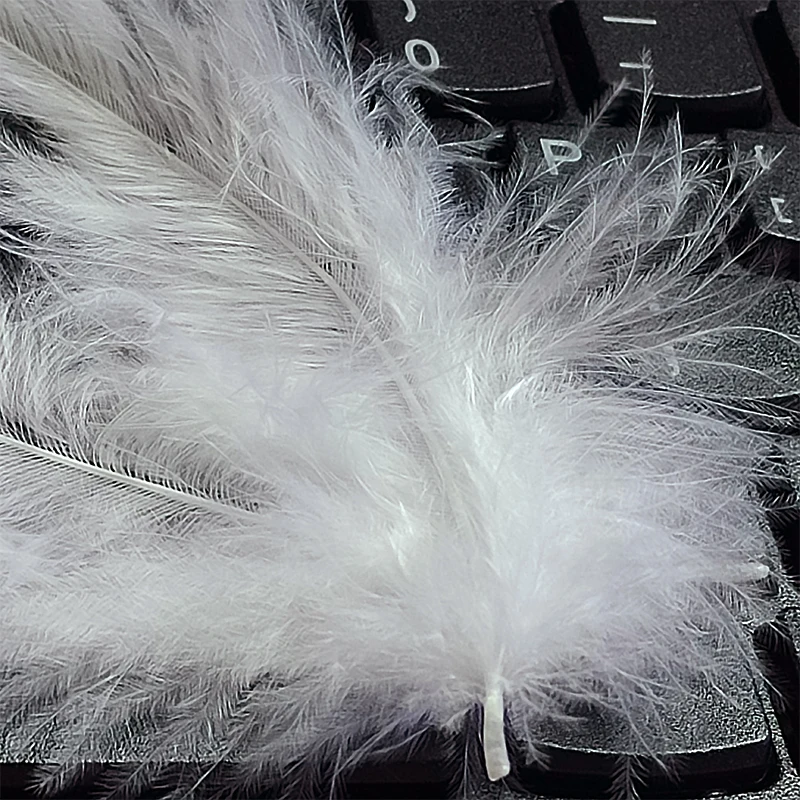 290 قطعة 9-15 سنتيمتر الريش الأبيض الطويل ل زاك ديكور كرنفال القبعات الزفاف الحرف شجرة زهرة كبيرة صغيرة السائبة تركيا بلوماس