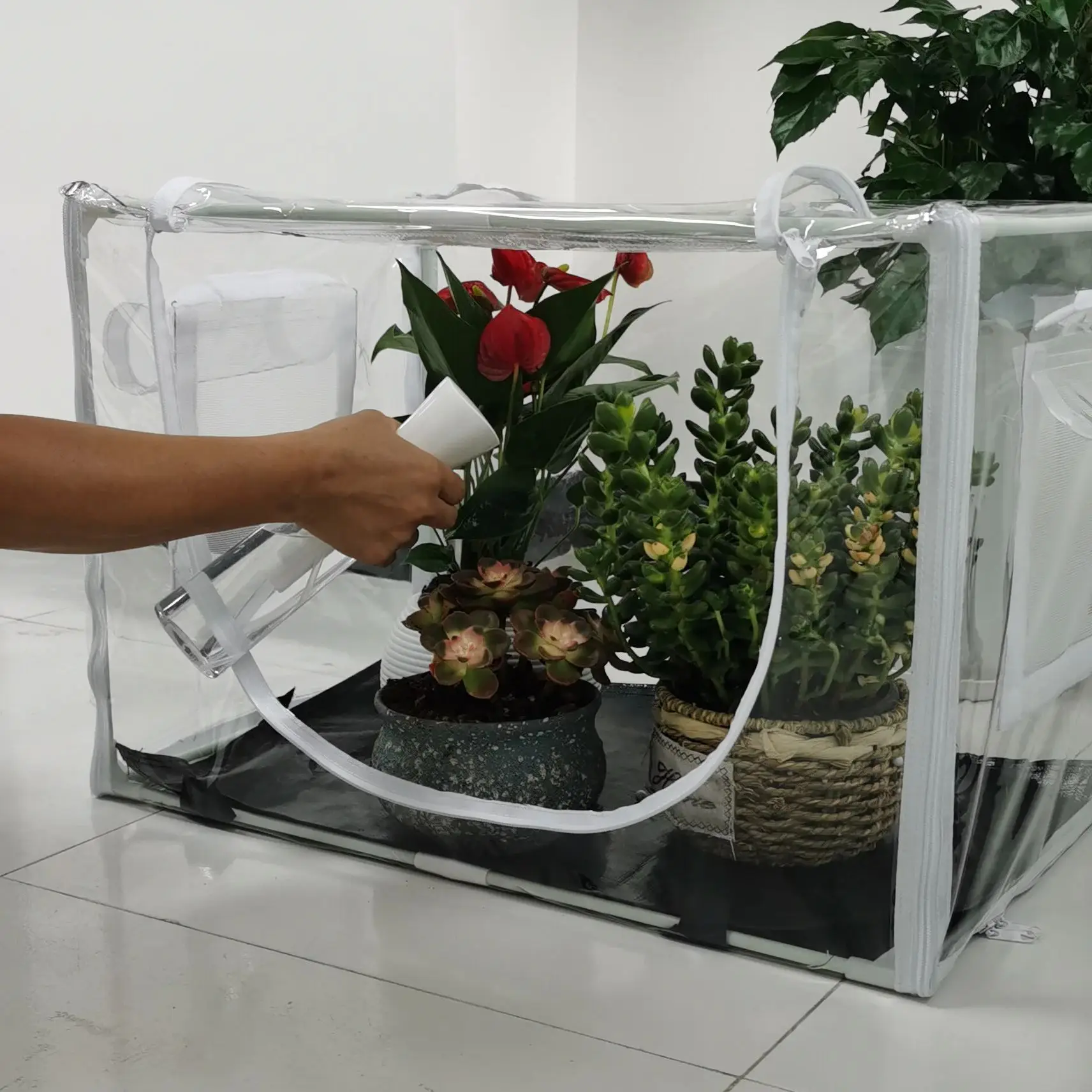 Compact Indoor/Outdoor Greenhouse for Potted Plants & Grow Bags - Space-Saving, Portable, Ideal for Balconies, Patios & Rooms view 2