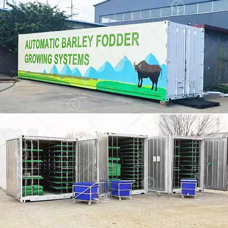 Smart Growing Shipping Container Mushroom Seed Plant Barley Sprouting Make Machine Storage System customize