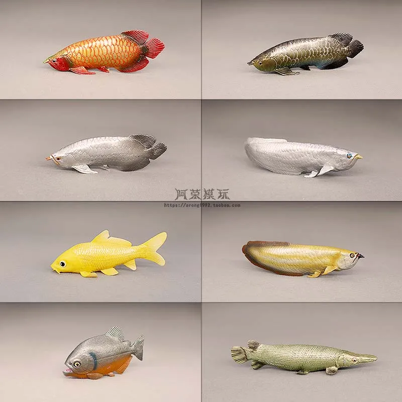 Zabawka edukacyjna symulująca model wodny: Arowana azjatycka, Aligator Gar, Koi, figurki akcji, kreatywne miniatury, ozdoby, akcesoria.
