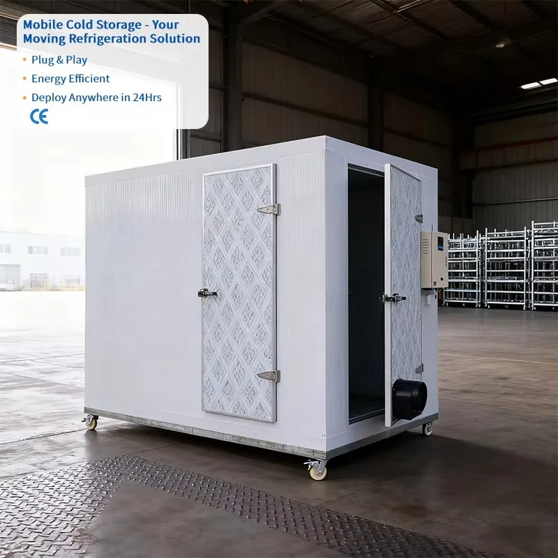 Mobile Cold Room Stable Refrigeration 24 Hours Continuous Cooling For Seafood Meat Frozen Product Outdoor Stock Preservation