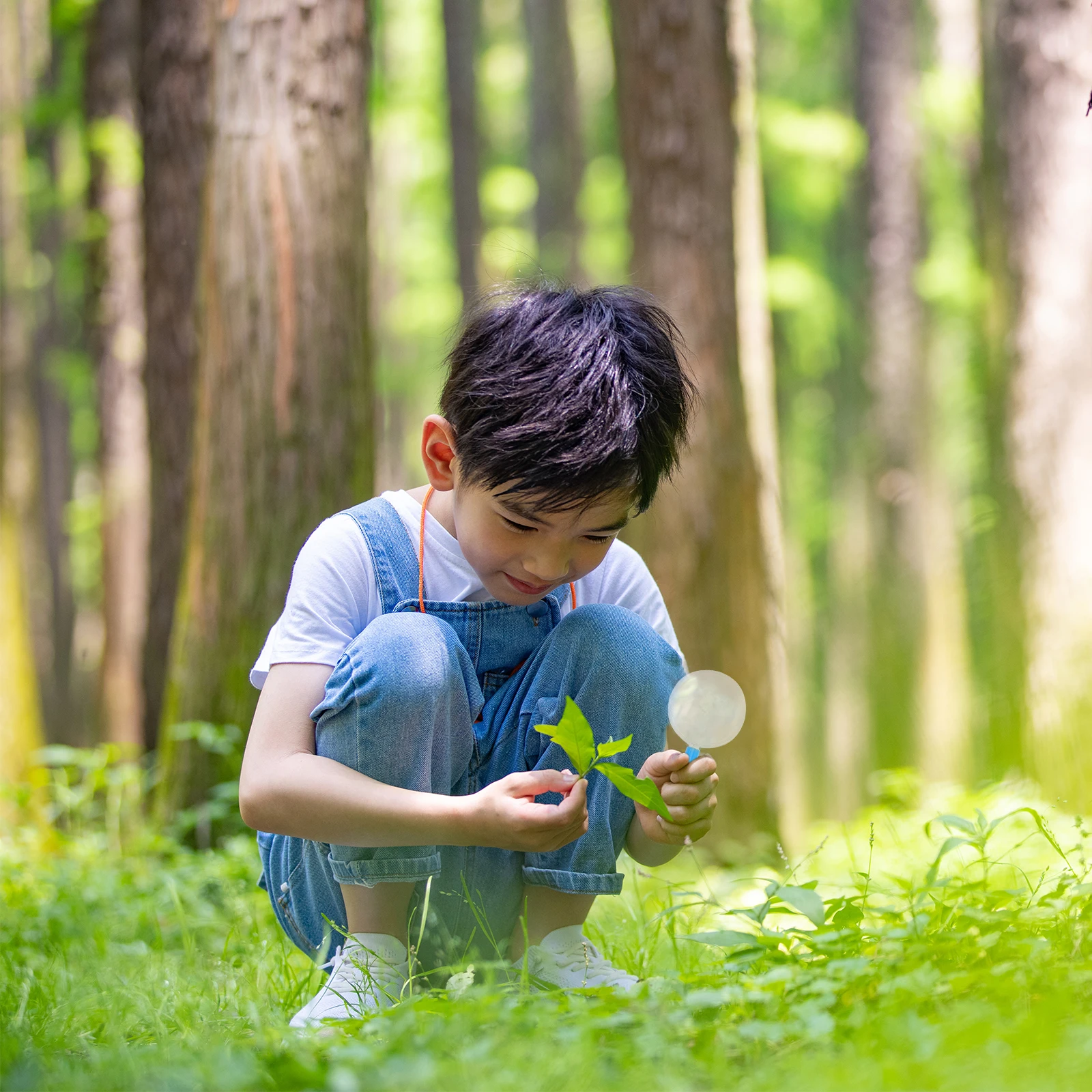 30 Buah Kaca Pembesar Genggam Ringan Portabel untuk Alat Observasi Kelas Sains Tanaman Serangga Kerajinan Membaca
