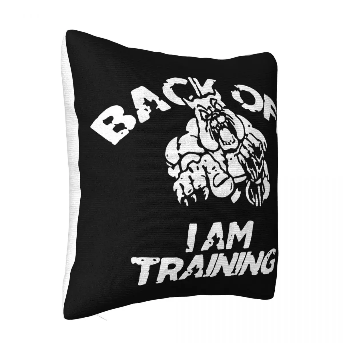 Back Off I Am Training Bodybuilding Gym Wear Men Funny S Joke Gift Boy Brand Dj Pillow Case