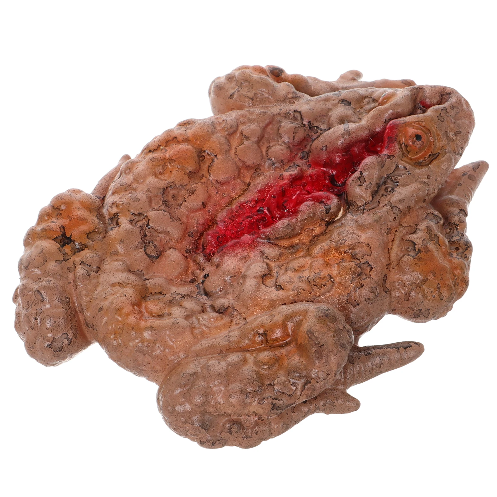 Scary Horror Toad Tray Prank Prop Halloween Decor Supplies Simulation Insect Box Large Size Scare Toy Creepy Display